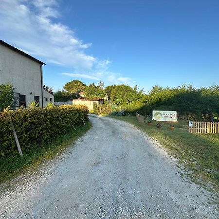 - Il Casale Toscano - 1900Mt From Leaning Tower - No Breakfast - No Air Conditioning - Free Parking - Self Check-In Only From June 15Th Pisa Luaran gambar