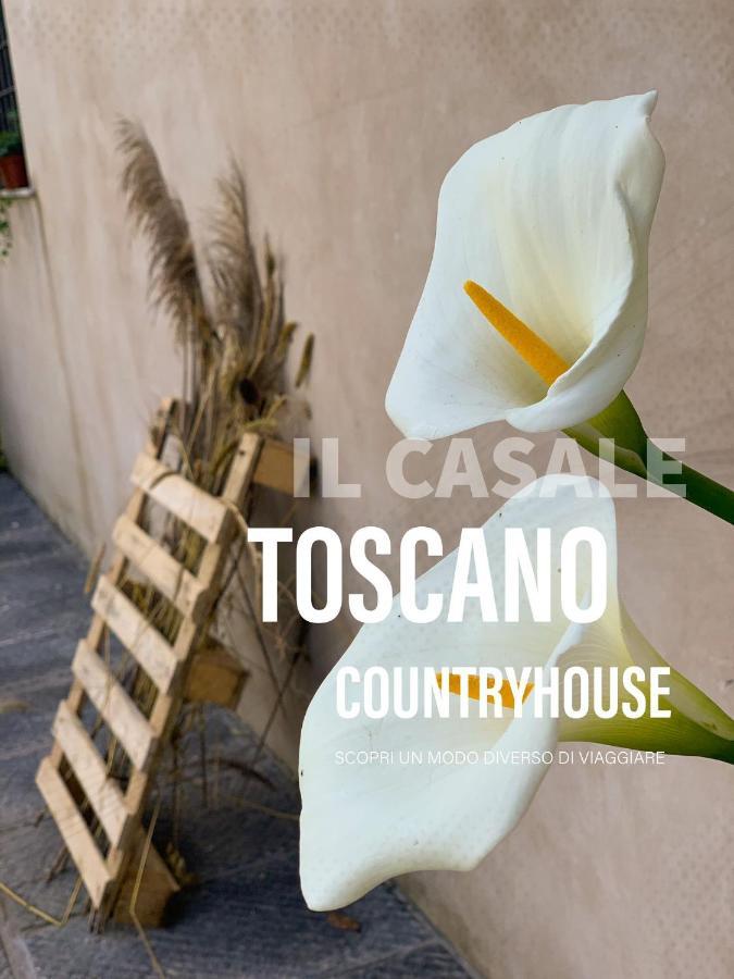 - Il Casale Toscano - 1900Mt From Leaning Tower - No Breakfast - No Air Conditioning - Free Parking - Self Check-In Only From June 15Th Pisa Luaran gambar